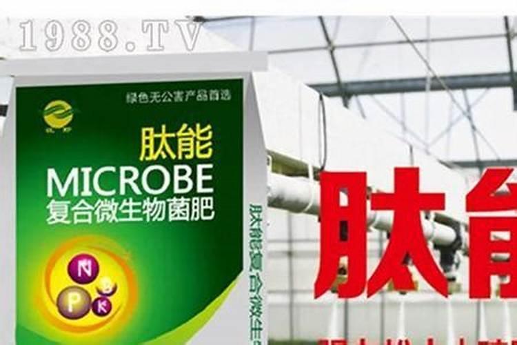 菌肥一亩用多少斤 科学合理施肥
