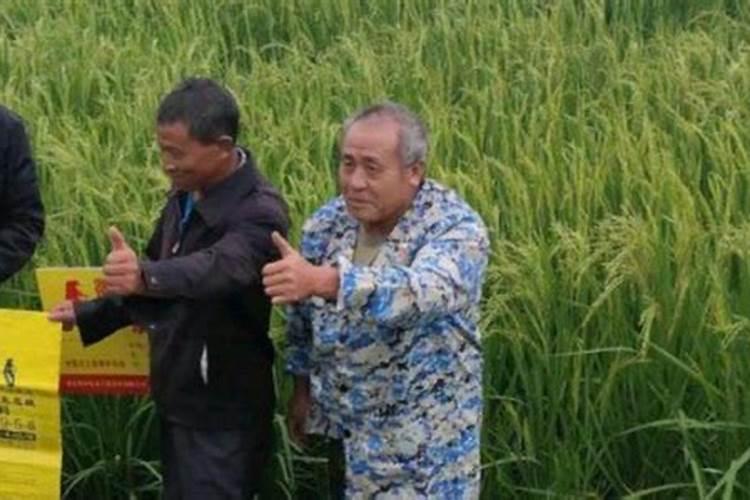 葡萄种植需要施什么肥料