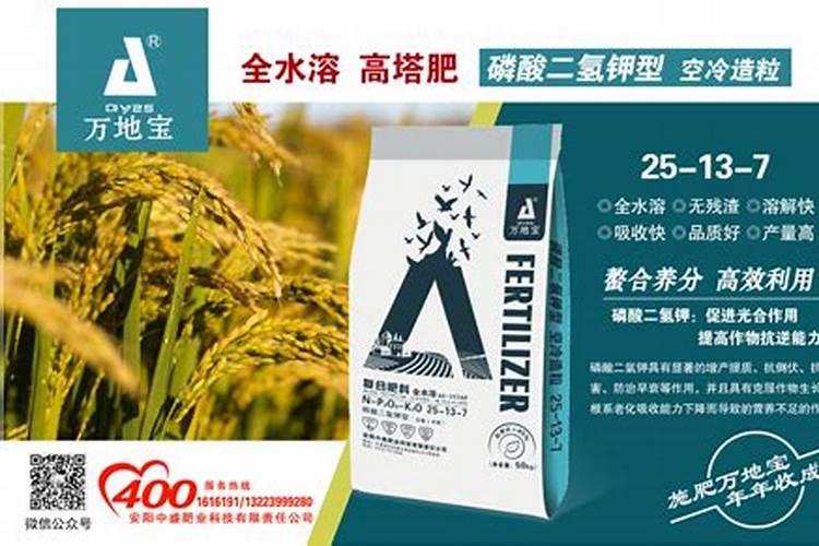 养花缓释肥和复合肥哪个好
