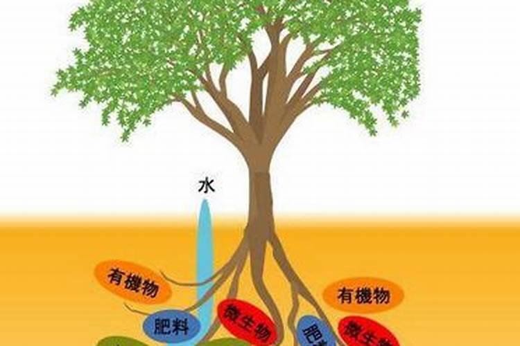 自然界中有不含碳元素的物质吗？