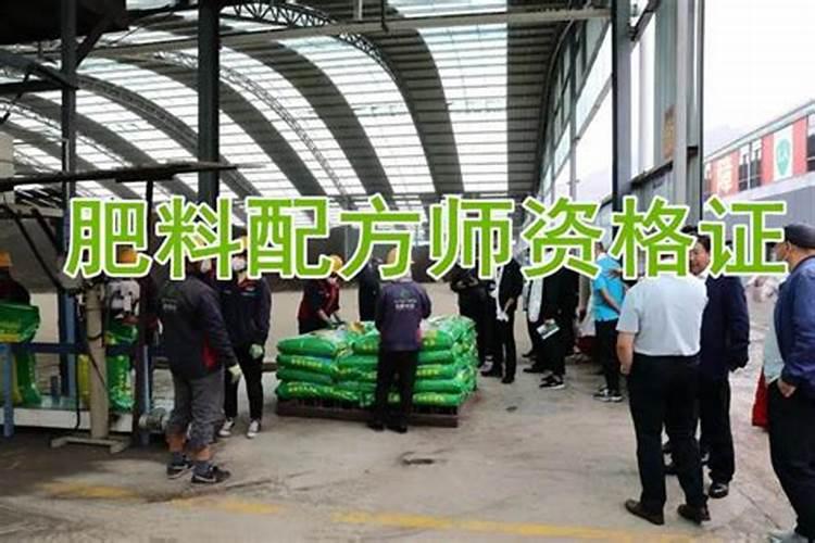 太空椒的资料(要详细的)