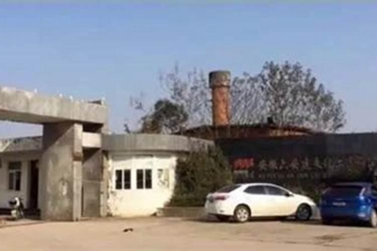 树莓在哪里可以种植？红树莓苗种植方法