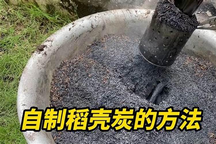 水稻什么时候撒肥最好