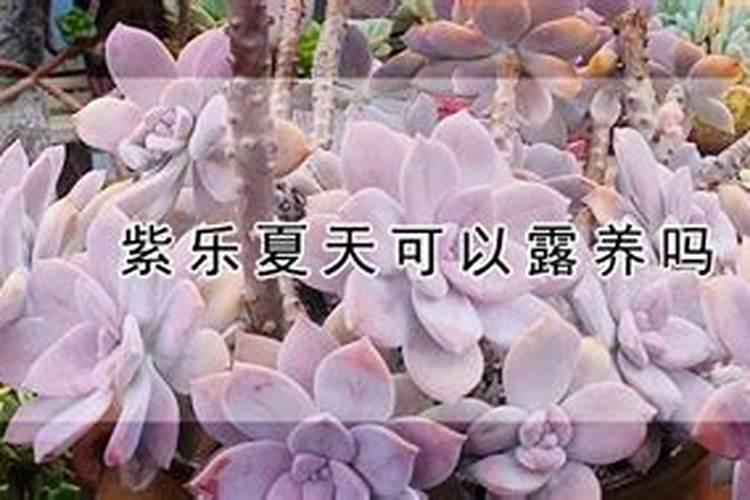 新疆哪家产的有机肥比较好？