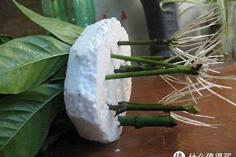 肥料微量元素是什么