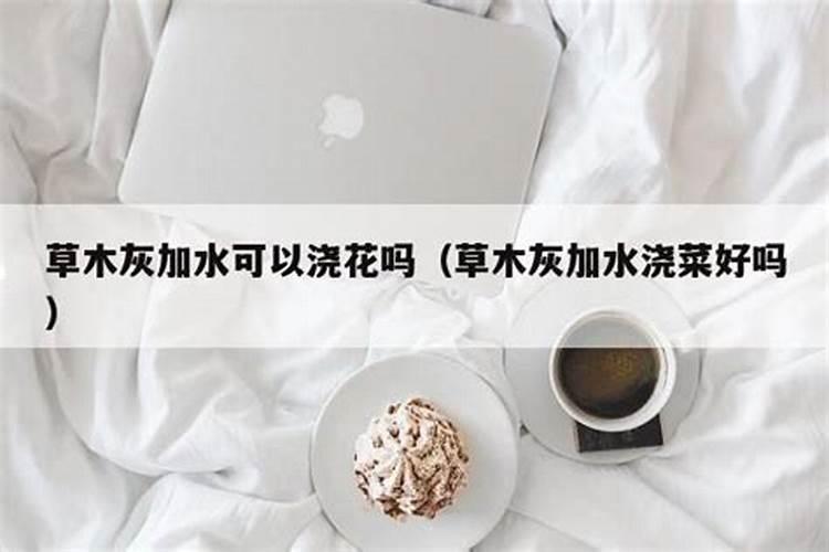 枣树施肥管理是怎样的