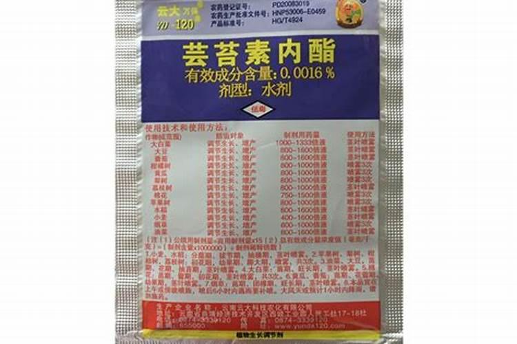 柑橘成熟时掉果怎么解决 柑橘成熟时掉果解决方法