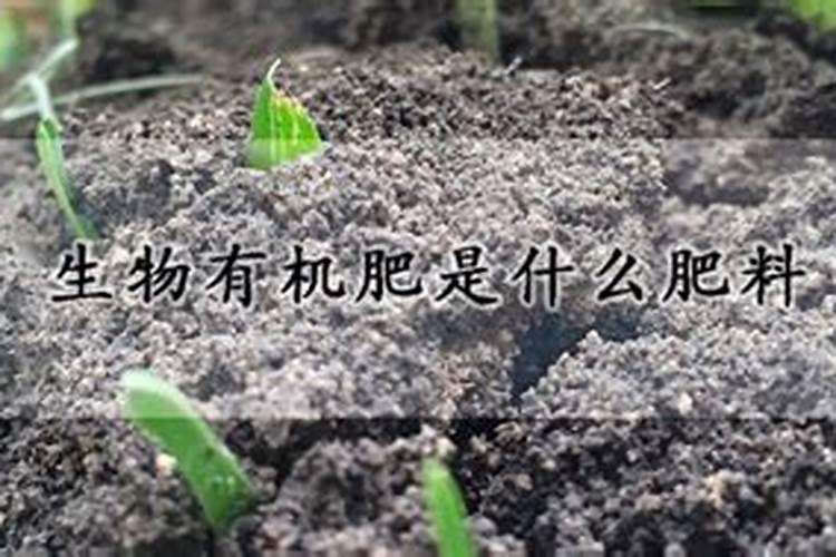 红薯天旱能打红薯宝宝吗