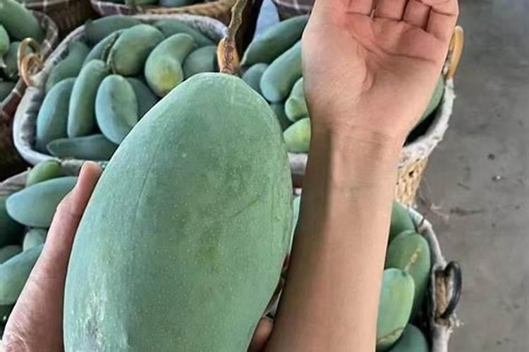 花生追肥用硫酸钾还是用硝酸铵钙