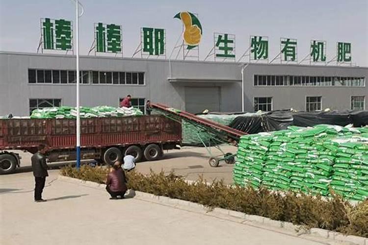 中国最好的果树叶面肥有哪些？