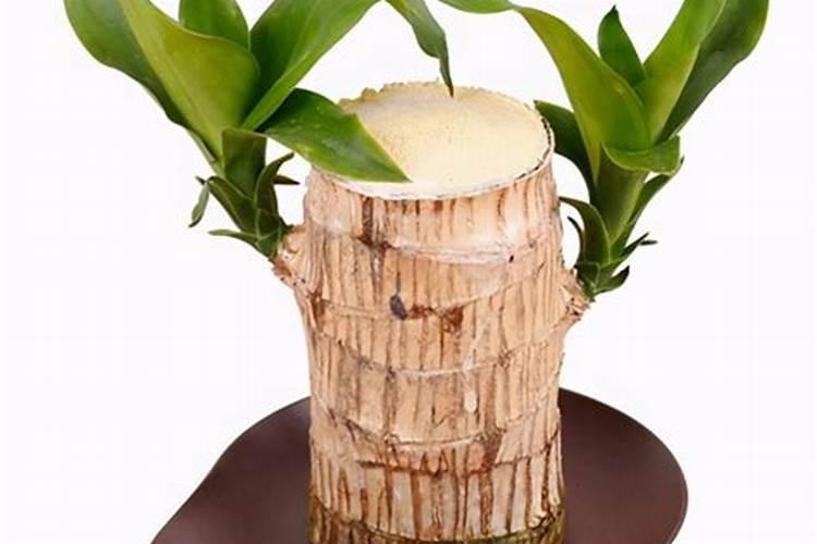 小麦在什么期间可打叶面肥