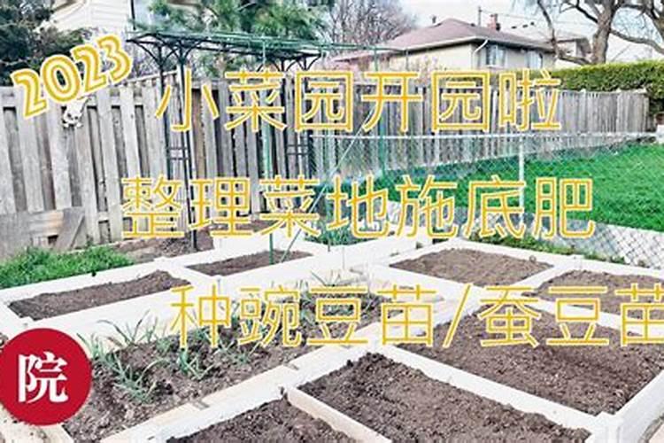 氨基酸水溶肥在梨树用法用量