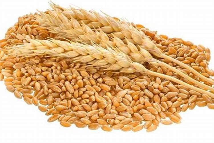 栀子花换盆用什么土最好