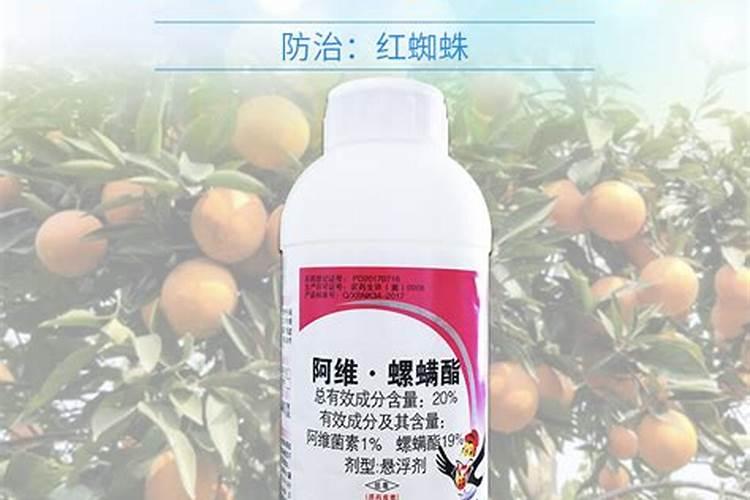 种葱打什么农药