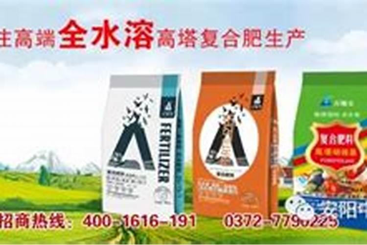 板栗如何施肥才能高产