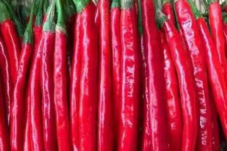 辣椒移栽后用什么肥提苗