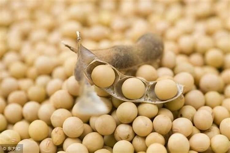 大豆追肥用什么肥料好
