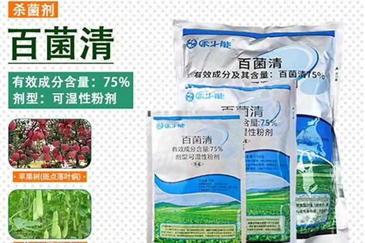 火龙果一般用什么肥料？还要注意这四点!