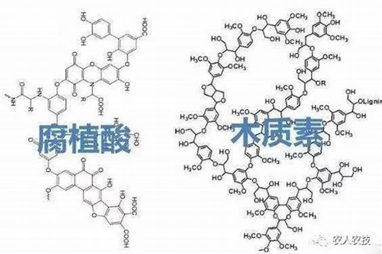 江苏中东化肥股份有限公司企业简介