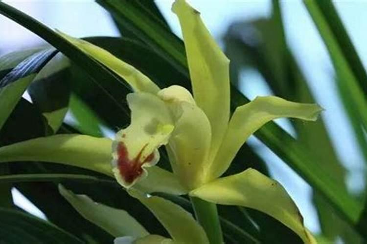 中国控释肥十大名牌;茂施控释肥多少钱一吨