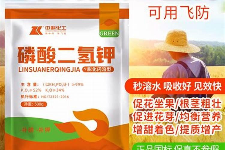 磷矿粉的化学式是什么