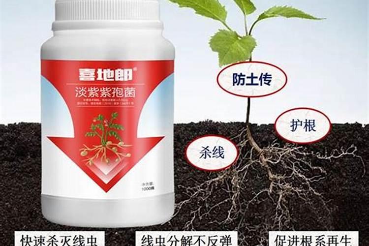 氮肥是什么,怎样配置？