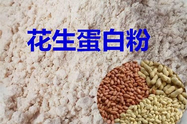 鱼蛋白加花生枯肥好吗