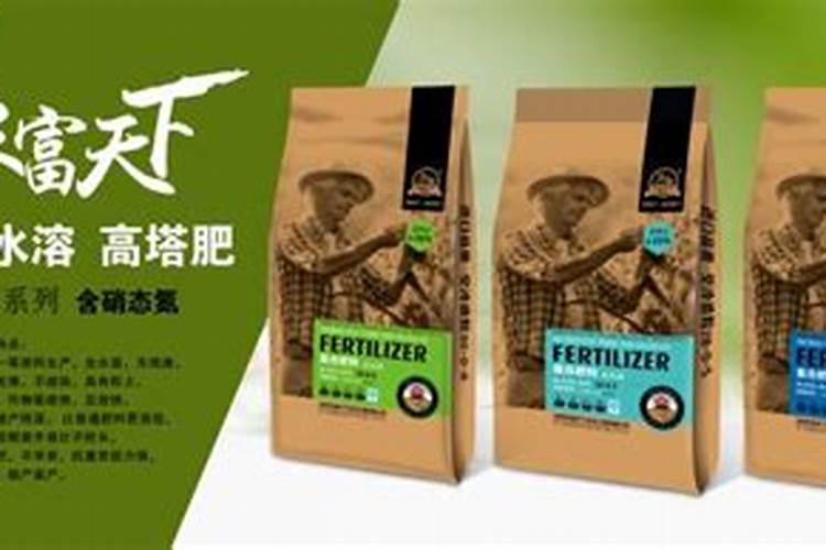 氮肥的吸收转化过程