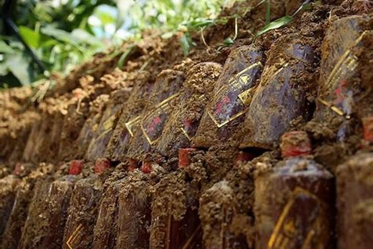 在哪里可以买到硒肥？