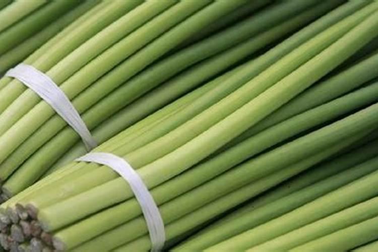 水稻叶尖发红是什么病