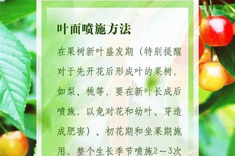 硝酸磷肥的有效期是多长时间 硝酸磷肥的优点和缺点有哪些