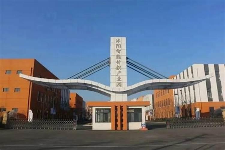 沃柑的种植和管理方法