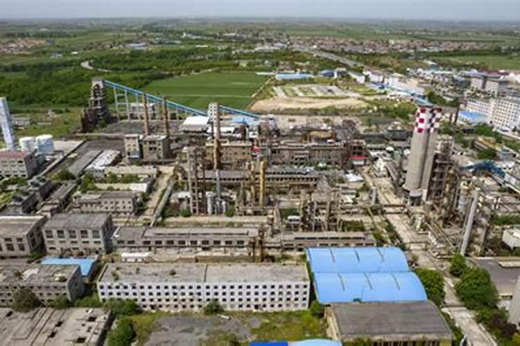 盆栽金桔什么时候施肥,不同时期的施肥方法