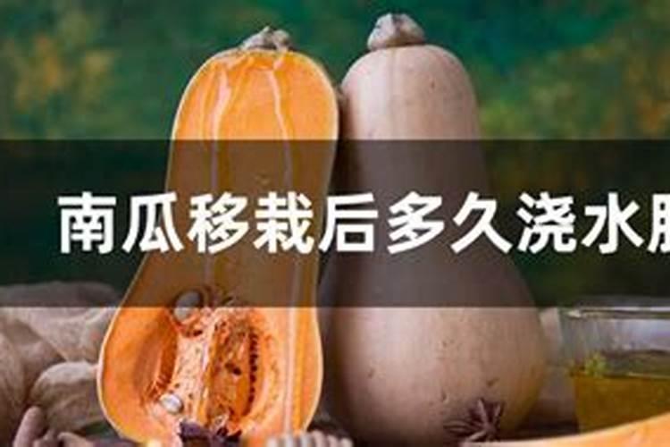 有机肥料是危险品吗？