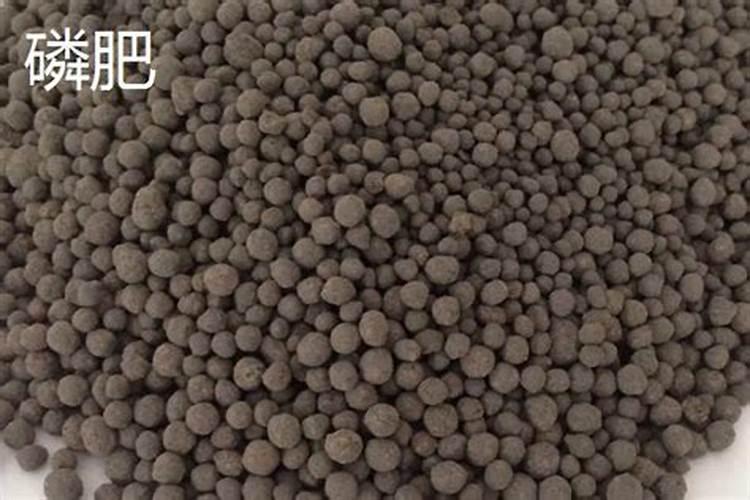 种植烤烟需要什么技巧吗