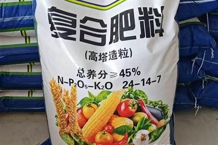 罗汉松浇什么水好 长得更旺盛