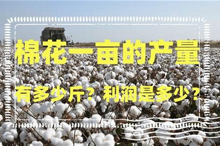 化肥属于什么产品