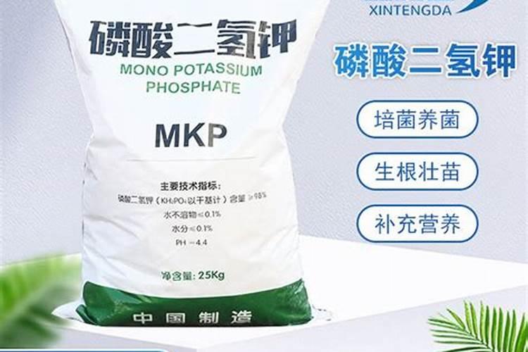 钾肥对玉米能起到什么作用