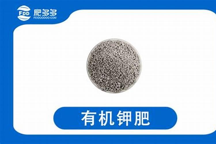 海藻鱼蛋白水溶肥后期能用在大姜上面吗