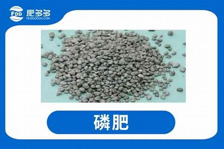 磷素肥料的施用原则是什么 磷素肥料在土壤中会怎么样