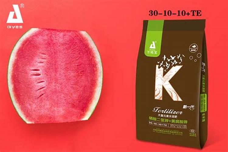 黄豆怎么种植方法图片
