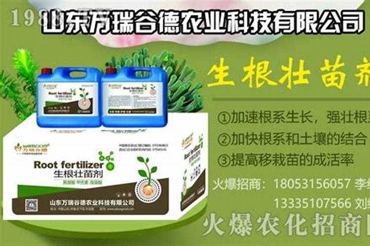 玉米打叶面肥有用吗