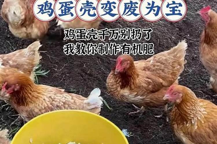 玉米褐斑病能自愈吗