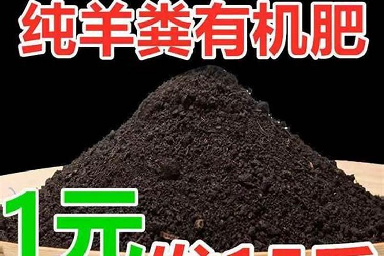 多肉植物施肥后多久可以浇水