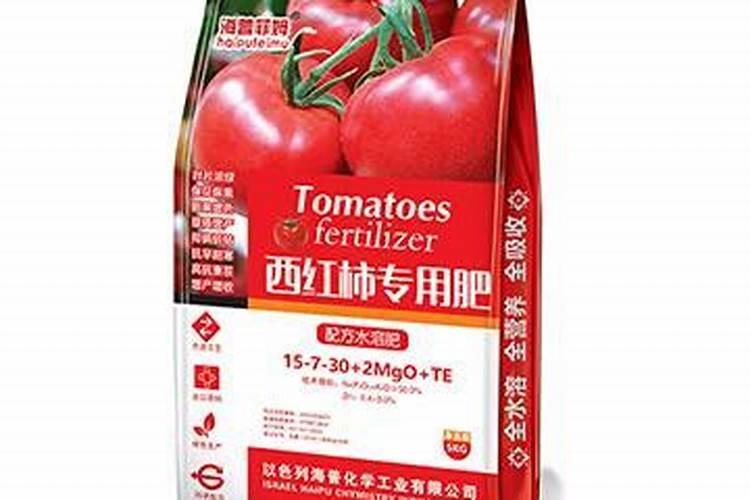 西红柿需用什么样的肥料