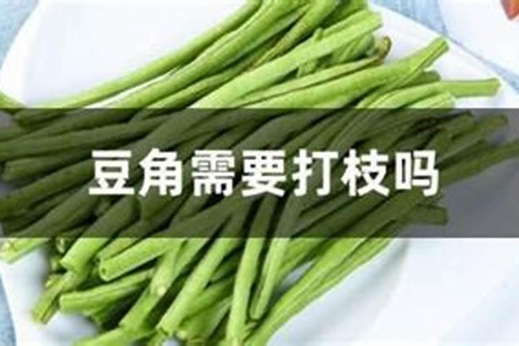 豇豆的养殖方法和注意事项