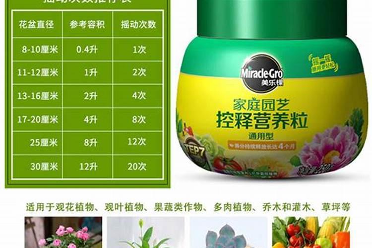 空心菜用什么肥料长得快