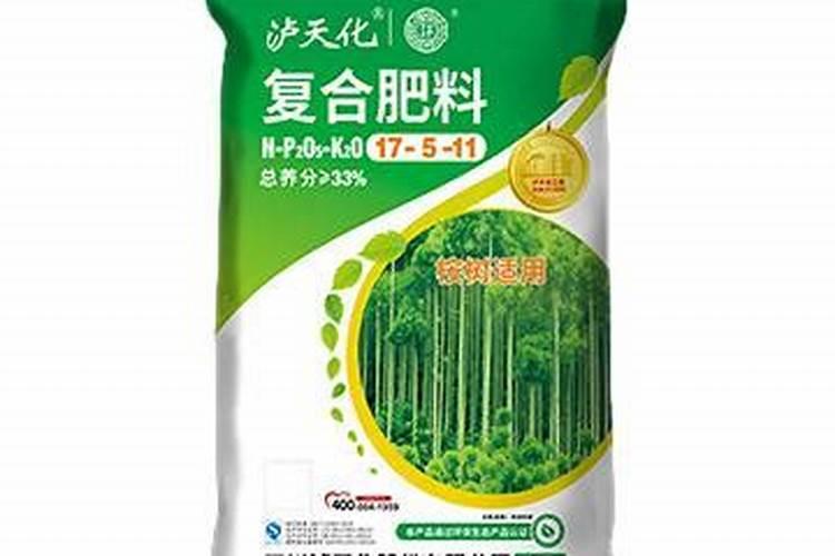 如何学做水果拼盘？没有基础,需要哪些工具