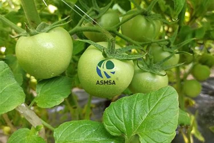 水果拼盘怎么做？