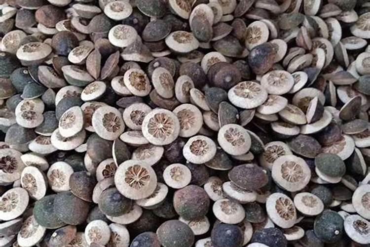 油茶低改合理施肥方法